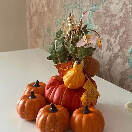 Happy Moments * 크랄레보